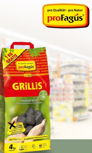 Sommer-Hit Grillis  4 Kg  zum 3 Kg Preis  Briketts